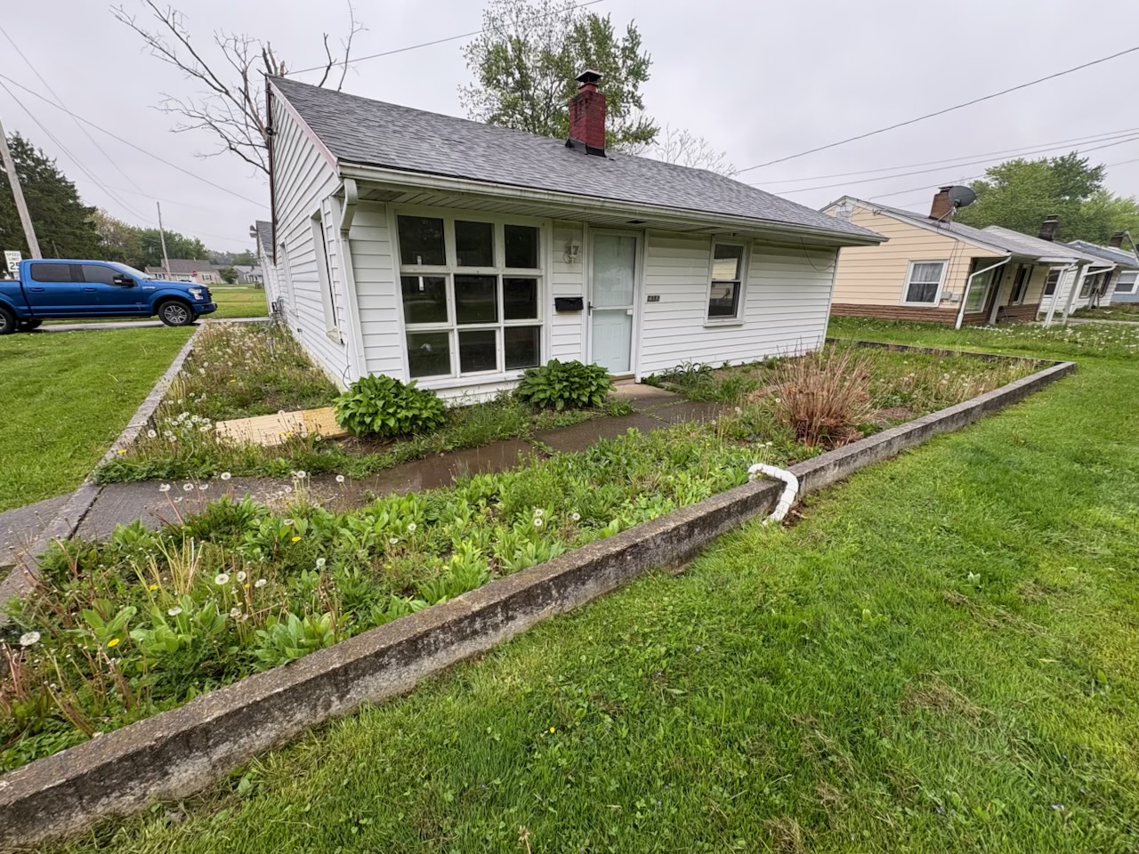 Overgrown beds and weeds along the front walk before excavation